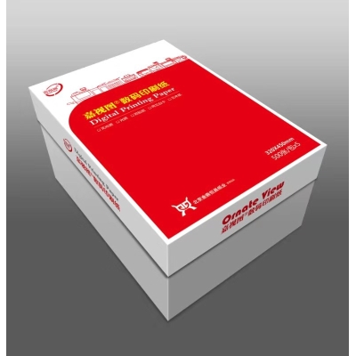 嘉視圖 彩激紙A4 100g 厚白【500頁/包】 A4丶210*297